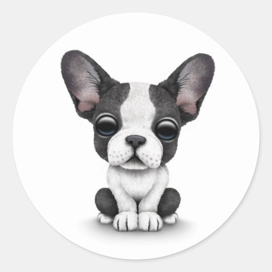 Sticker Rond Chien chiot français mignon sur blanc (Devant)