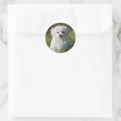 Sticker Rond Chien chiot maltais blanc mou (Sac)