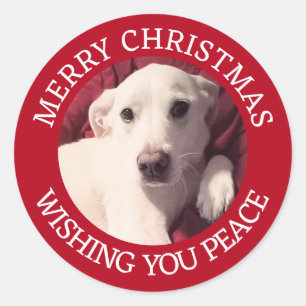 Sticker Rond Chien chiot mignon Joyeux Noël Paix Rouge