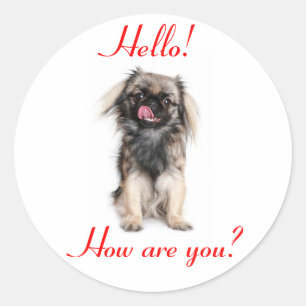 Sticker Rond Chien chiot Pékinois rouge Bonjour