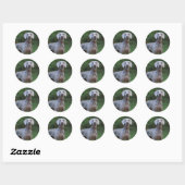 Sticker Rond Chien chiot Weimaraner (Feuille)