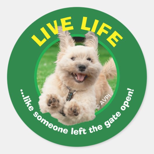 Sticker Rond Chien Courant Dans Le Jardin (Devant)