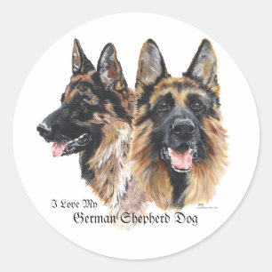 Sticker Rond Chien de berger allemand