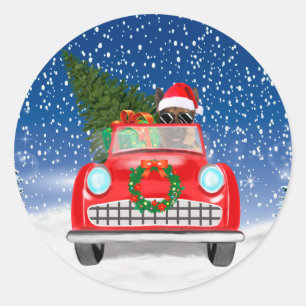 Sticker Rond Chien de berger allemand conduisant une voiture da