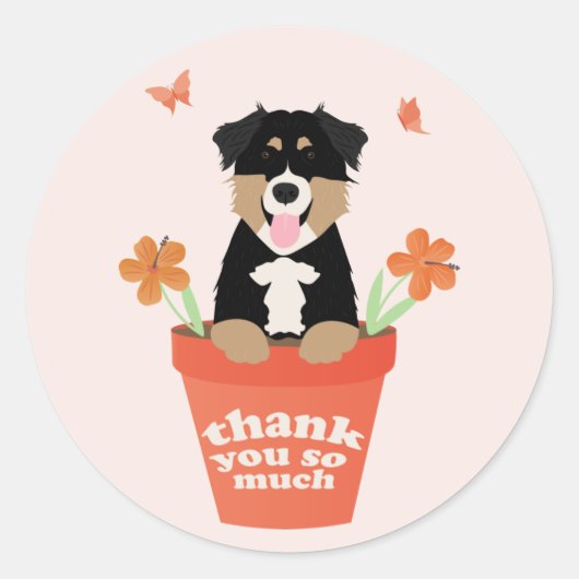 Sticker Rond Chien De Berger Australien En Pot De Fleur Merci (Devant)