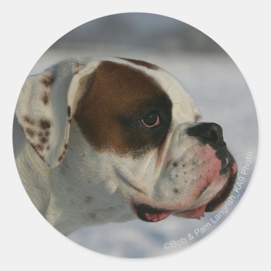 Sticker Rond Chien de boxe dans la neige (Devant)