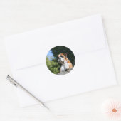 Sticker Rond Chien de boxe posé sur un rocher (Enveloppe)