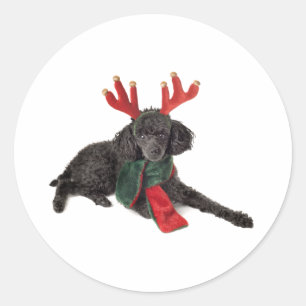 Sticker Rond Chien de caniche noir de jouet de Noël habillé