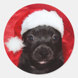 Sticker Rond Chien de chiot noir Noël