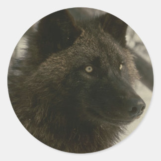 Sticker Rond Chien de loup noir