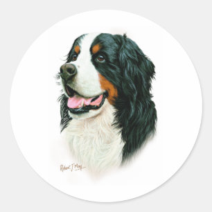 Sticker Rond Chien de montagne bernois