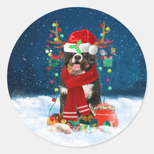 Sticker Rond Chien de montagne bernois en neige avec cadeaux de