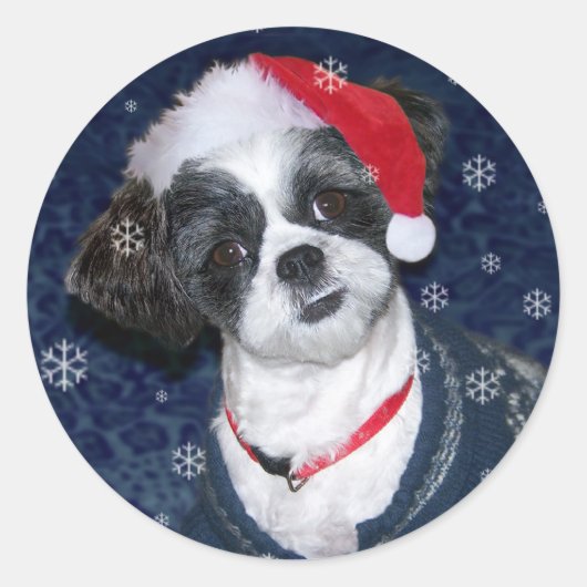 Sticker Rond Chien de Noël Shih Tzu (Devant)