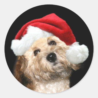 Sticker Rond Chien de père Noël