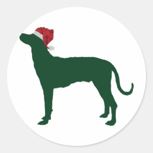 Sticker Rond Chien de Plott