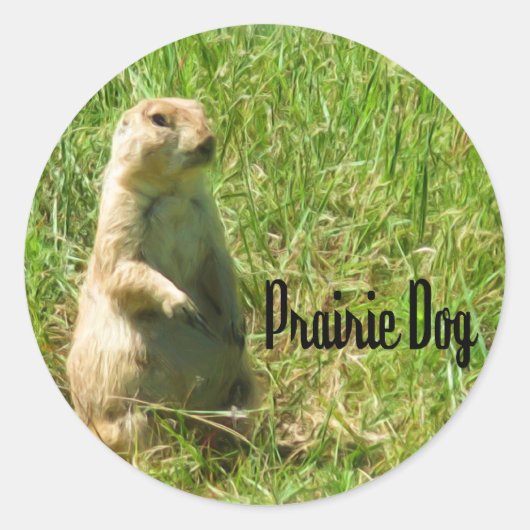 Sticker Rond Chien de prairie (Devant)