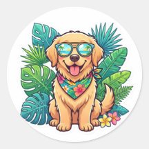 Chien de race Golden Retriever Lunettes de soleil 