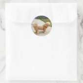 Sticker Rond Chien de Red Lhasa Apso (Sac)