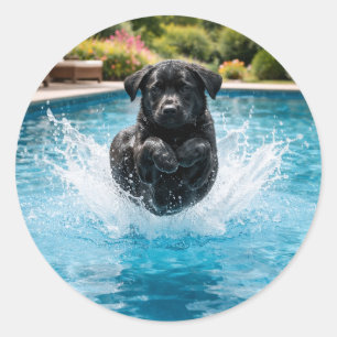 Sticker Rond Chien drôle Canonball Fête au bord de la piscine e