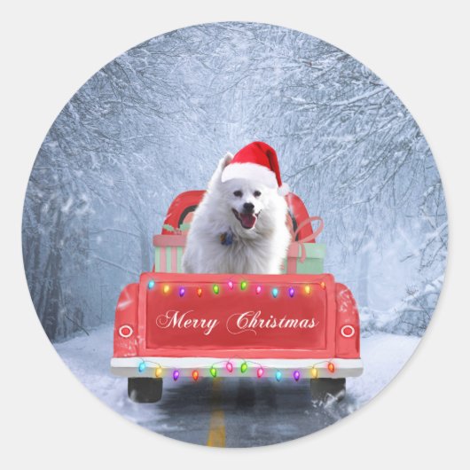 Sticker Rond Chien Eskimo américain en neige assis à Noël (Devant)