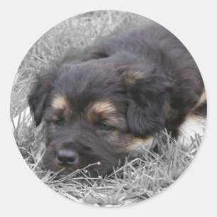 Sticker Rond Chien fatigué, personnalisable
