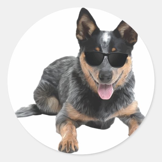 Sticker Rond Chien Heeler De Bovins Australien Dans Avion (Devant)