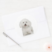 Sticker Rond Chien maltais blanc (Enveloppe)