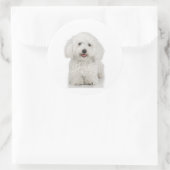 Sticker Rond Chien maltais blanc (Sac)