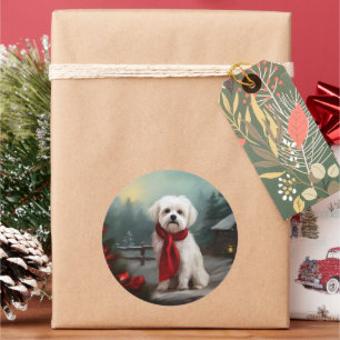 Sticker Rond Chien maltais dans la neige de Noël