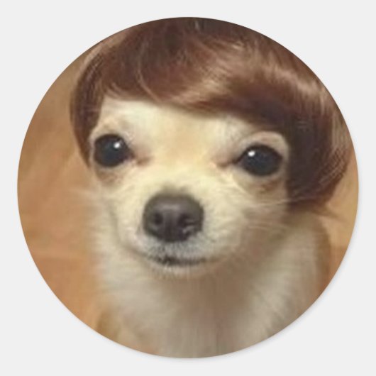 Sticker Rond chien-perruque (Devant)
