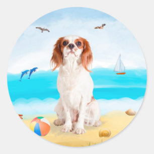 Sticker Rond Chien roi cavalier sur la plage