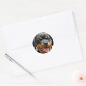 Sticker Rond Chien Rottweiler (Enveloppe)