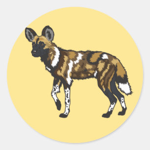 Sticker Rond Chien sauvage africain