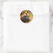 Sticker Rond Chien sauvage africain (Sac)