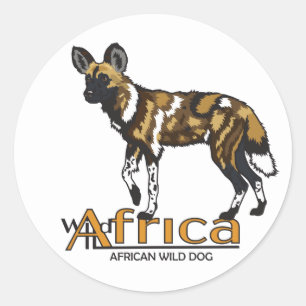 Sticker Rond Chien sauvage africain. Afrique sauvage