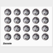 Sticker Rond Chien sibérien Husky (Feuille)