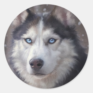 Sticker Rond Chien sibérien Husky