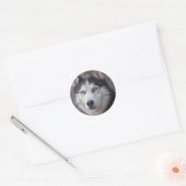 Sticker Rond Chien sibérien Husky (Enveloppe)