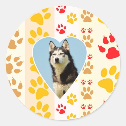 Sticker Rond Chien sibérien - pattes cardiaques Imprimer (Devant)