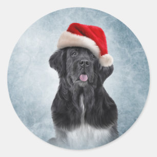 Sticker Rond Chien Terre-Neuve en rouge casquette du Père Noël