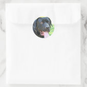 Sticker Rond Chien Tosa Inu (Sac)
