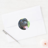 Sticker Rond Chien Tosa Inu (Enveloppe)