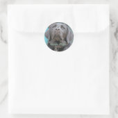 Sticker Rond Chiens de guide - Black Lab Cross (Sac)