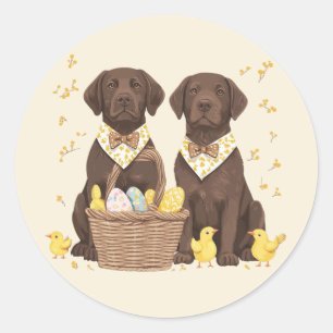 Sticker Rond Chiens Labrador Retriever au chocolat de Pâques