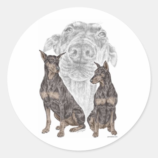Sticker Rond Chiens noirs Doberman (Devant)