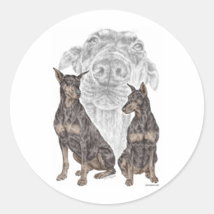 Sticker Rond Chiens noirs Doberman