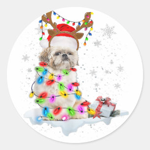 Sticker Rond Chih Tzu Chien Noël   Lumières de Noël des rennes
