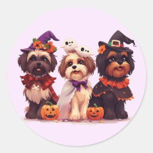 Sticker Rond Chih Tzu Chih Halloween