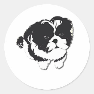 Sticker Rond Chih Tzu noir blanc animal de compagnie
