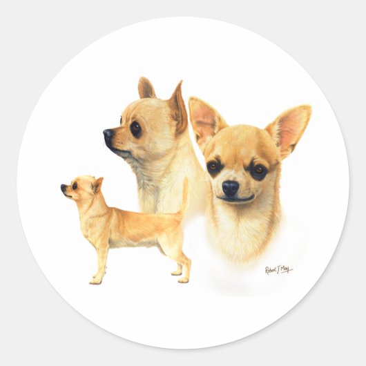 Sticker Rond Chihuahua (Devant)